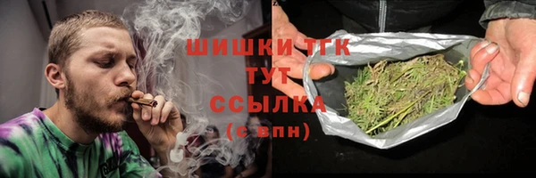 СК Козельск