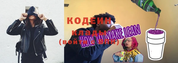 амф Козловка