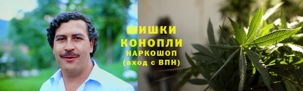 СК Козельск