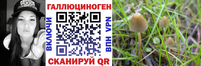 Галлюциногенные грибы ЛСД  Купить  Щучье 